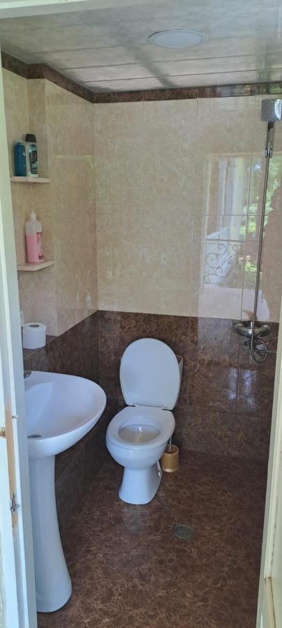 Guest House Lailashi Surmushi Exterior photo